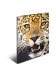 HERMA Elasticated folder A4 PP Leopard