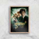 Harry Potter and the Chamber Of Secrets Giclee Art Print - A3 - Wooden Frame