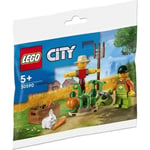 LEGO 30590 Farm Garden & Scarecrow Polybag