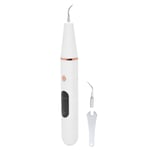 Ultrasonic Dental Scaler Electric Teeth Cleaner Dental Calculus Plaque Tarta LSO