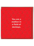 Funny Valentines Day Card For Him 'Stallion' Cheeky Novelty Humour Witty Amusing