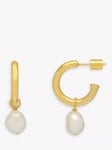 Estella Bartlett The Edit Pearl Drop Hoop Earrings, Gold