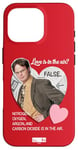 Coque pour iPhone 16 Pro The Office Dwight Love Is In The Air? False