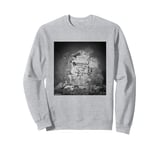 The Damned History Of The World Part 1 Art By Allan Ballard Sweatshirt