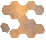 Nanoleaf Elements Hexagons kit NL52-K-3002HB-13PK