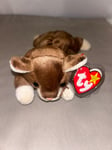 Ty Beanie Babies Pounce the Cat with Tags Retired 1997 Vintage