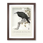 A Crow On The Blossom Tree By Ohara Koson Exhibition Museum Asian Japanese Framed Wall Art Print, Ready to Hang Picture for Living Room Bedroom Home Office Décor, Walnut A2 (64 x 46 cm)