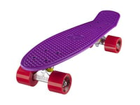 Ridge Skateboards 22" Original Mini Cruiser Skate 55cm Skateboard Planche a Roulettes Complète en 90 couleurs