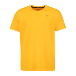 Performance Short Sleeve Tee, t-skjorte, herre