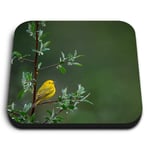 Square MDF Magnets - Little Yellow Bird Tree Rain Nature  #45583