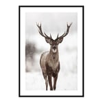 Poster Gallerix Majestic Red Deer