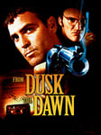 From Dusk Till Dawn