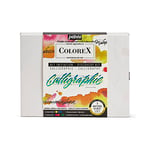 Pebeo Calligraphy Brush Lettering & Illustration Kit Watercolour Ink 4 Colours 20 ml and 4 Colorex Marker, Détails en Description, Non Applicable