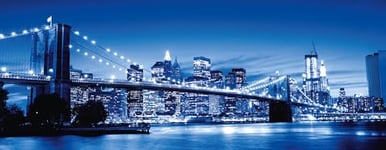 Ravensburger Puzzle New York Lumineux 1000 pièces pour Adultes et Enfants à partir de 14 Ans, 12000438