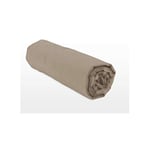 Home Linge Passion Drap Housse Beige foncé 160x200 +25 cm 100% Coton 57 Fils (Label Oeko-Tex)