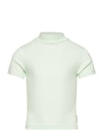 Tom Tailor Cropped Rib T-Shirt Grön