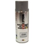 Peinture bombe - plus évolution - métallisé gris NVS268 - 400 mL