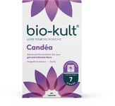 Bio-Kult | Candea | Advanced Multi-Action Formulation | 60 Capsules