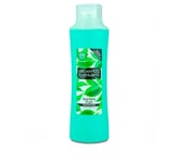 Alberto Balsam Tea Tree Shampoo 350ml