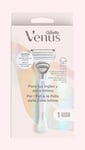 Gillette Venus Machine à épilation pour femme pour anglais et zone intime 1 poignée + 1 pièce de rechange Aide à protéger la peau de l'irritation après l'épilation