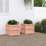 Vidaxl Jardinières 2 Pcs Bois Massif Douglas