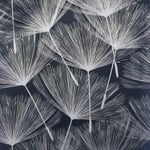 Arthouse Harmony Dandelion Navy/Silver Metallic Wallpaper 920806