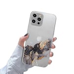 Newseego Compatible avec l'étui iPhone 12 Pro Max, étui en TPU Souple et élégant, Design de Peinture à l'aquarelle en marbre Clair, étui de Protection Mince et Flexible pour iPhone 12 Pro Max.