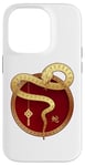 iPhone 14 Pro Zen Taiji Lucky Money Red Pocket Snake Year Pj ART ON BACK Case