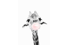 Giraffe Pink Bubblegum Kuvitius Valkoinen/Harmaa/ Vaaleanpun - 50x70 cm