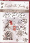 To All The Family Christmas Wishes Just For You Xmas Card Robin Winter Snow Card