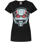 T-shirt Marvel  NS4245