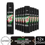 Lynx XXL Deodorant Bodyspray Africa 48H The G.O.A.T. of Fragrance 250ml, 12pk