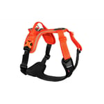 Non-stop dogwear Ramble Harness - Harnais pour chien Orange M