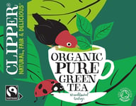 Clipper Organic Pure Green Tea Bags | 320 Teabags 4 x Boxes of 80 | Bulk Buy fo