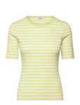 Slim Striped 1X1 Ribbed Ss T-Shirt Green GANT