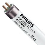 philips 49w/830