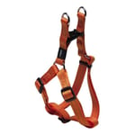 Rogz Step-in valjaat Snake M 16mm/42-61cm, oranssi