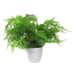 30cm Artificial Potted Lady Fern (Athyrium Filix-Femina)