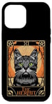 iPhone 15 Pro Max The Hermit Tarot Card Mystic Cat in Box Funny Cat Lover Gift Case