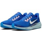 Nike Pegasus 41 CM Herre