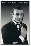 Artopweb James Bond - 007 (Panneaux MDF 60x90 cm)