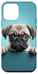 Coque pour iPhone 12 mini Chiot chien carlin