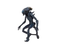 Figurine - Alien vs Predator - Arachnoid Alien - 18 cm - NECA