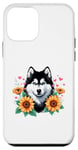 Coque pour iPhone 12 mini Sunflowers Siberian Husky Siberian Huskies