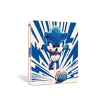 Sonic the Hedgehog 3 4K Ultra HD SteelBook #1 (Blue)