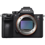 Sony A7R Mark III Digital Camera