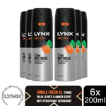 Lynx XL Anti-Perspirant 72-Hour Sweat Protection Deodorant 200ml, 6 Pack