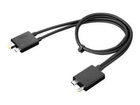 Lenovo Split Kabel - Thunderbolt Kabel (Han) (Han) - Thunderbolt 3 - 67 Cm - Sort - Cru