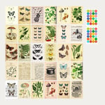 Postkortsset: 30 vintage-inspirerade botaniska vykort, natur och e