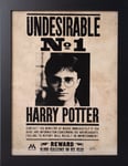 Harry Potter - Indésirable N°1 - Collector Print '30x40cm